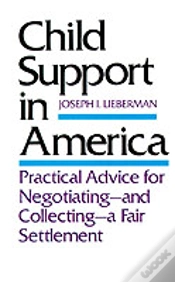 Capa do artigo Child Support In America
