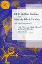 Child Welfare Services For Minority Ethnic Families - Preview