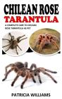 Chilean Rose Tarantula - Preview