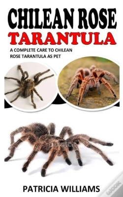 Capa do artigo Chilean Rose Tarantula