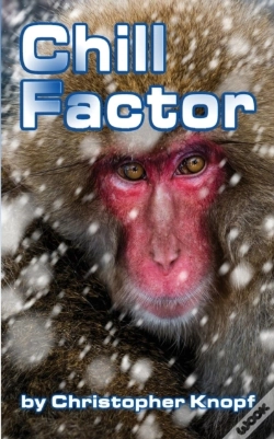 Capa do artigo Chill Factor