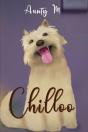 Chilloo - Preview
