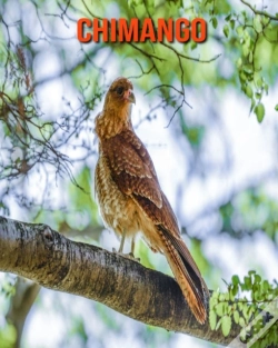Capa do artigo Chimango