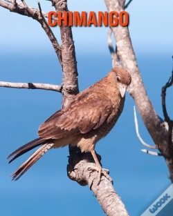 Capa do artigo Chimango