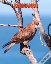 Chimango
