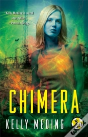 Capa do artigo Chimera