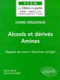 Chimie Organique Tome 4 : Alcools Et Dérivés - Amines - Preview