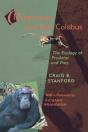 Chimpanzee And Red Colobus - Preview