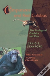 Capa do artigo Chimpanzee And Red Colobus