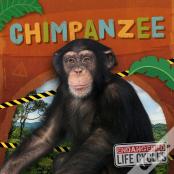 Chimpanzee