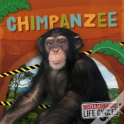 Capa do artigo Chimpanzee