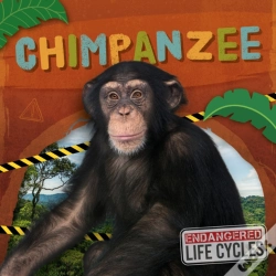 Capa do artigo Chimpanzee