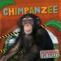 Chimpanzee - Preview
