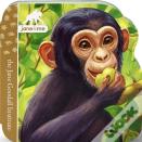 Chimpanzee (Jane & Me)