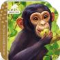 Chimpanzee (Jane & Me) - Preview