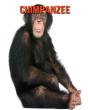Chimpanzee - Preview