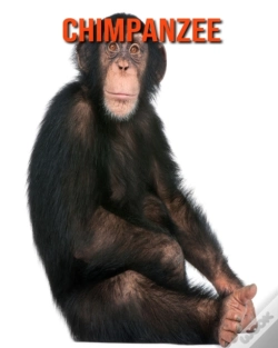 Capa do artigo Chimpanzee