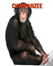Chimpanzee