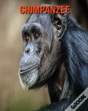 Capa do artigo Chimpanzee
