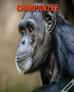 Capa do artigo Chimpanzee