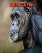 Chimpanzee - Preview