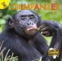 Chimpanzee - Preview