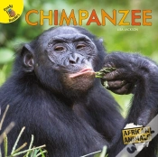 Capa do artigo Chimpanzee