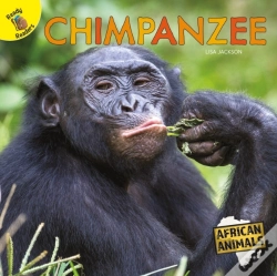 Capa do artigo Chimpanzee