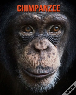 Capa do artigo Chimpanzee