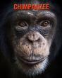 Chimpanzee - Preview