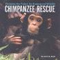 Chimpanzee Rescue - Preview