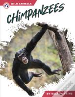 Chimpanzees