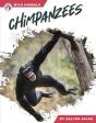 Chimpanzees - Preview
