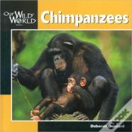 Chimpanzees