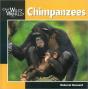 Chimpanzees - Preview
