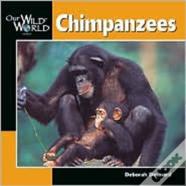 Chimpanzees