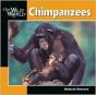 Chimpanzees - Preview