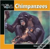 Chimpanzees