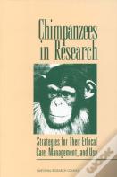Chimpanzees In Research