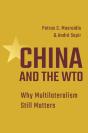 China And The Wto - Preview