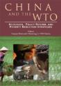 China And The Wto - Preview