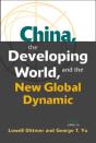 China, The Developing World, And The New Global Dynamic - Preview