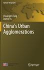 Chinaâ€™S Urban Agglomerations - Preview