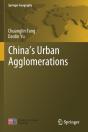 Chinaâ€™S Urban Agglomerations - Preview