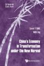 China'S Economy In Transformation Under The New Normal - Preview