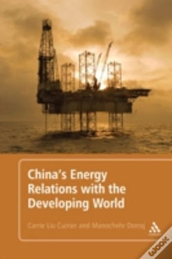Capa do artigo China'S Energy Relations With The Developing World