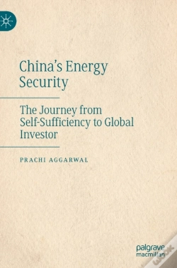Capa do artigo China'S Energy Security
