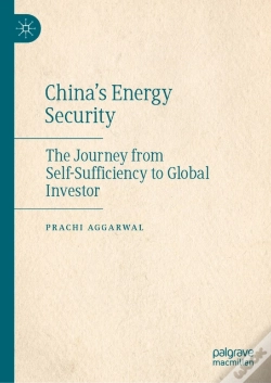Capa do artigo China'S Energy Security