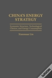 China'S Energy Strategy