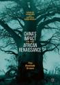China'S Impact On The African Renaissance - Preview